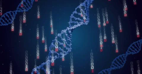 Image of dna strands and binary coding data processing Stock Photos