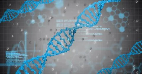 Image of dna strands and binary coding digital data processing 写真素材