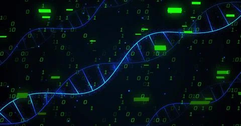 Image of dna strands and binary coding digital data processing 写真素材