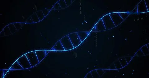 Image of dna strands and binary coding digital data processing 写真素材
