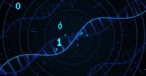 Image of dna strands and binary coding digital data processing 写真素材