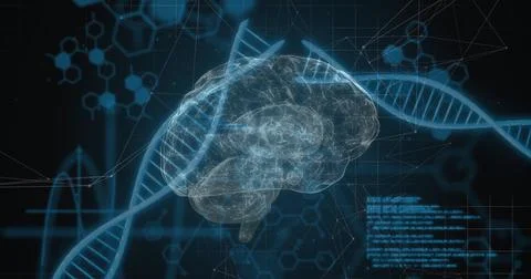 Image of dna strands and brain over data processing 스톡 일러스트