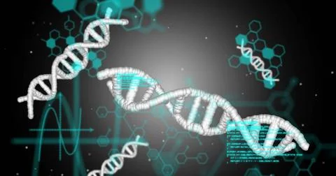 Image of dna strands and data processing 스톡 사진