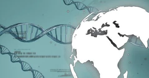 Image of dna strands and globe on gray background Stock Photos
