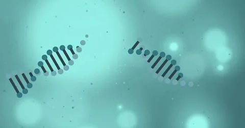 Image of dna strands and glowing light spots moving over blue background 스톡 일러스트