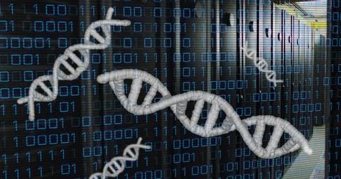 Image of dna strands, binary coding and data processing over computer servers 写真素材
