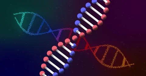 Image of dna strands on black background Stock Illustration