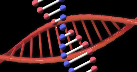 Image of dna strands on black background Stock Illustration