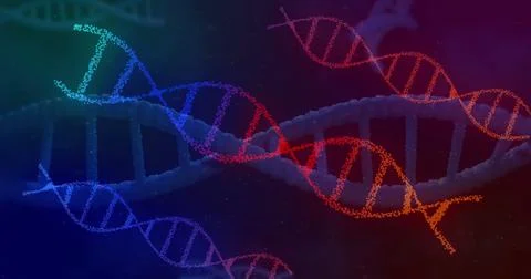 Image of dna strands on black background Stock Illustration