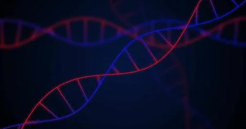 Image of dna strands on black background 스톡 일러스트