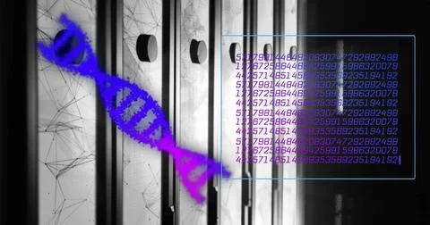 Image of dna strands with data processing and network of connections over server Illustrazione stock