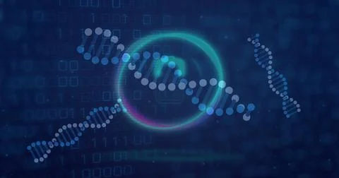 Image of dna strands with data processing over binary coding 스톡 사진