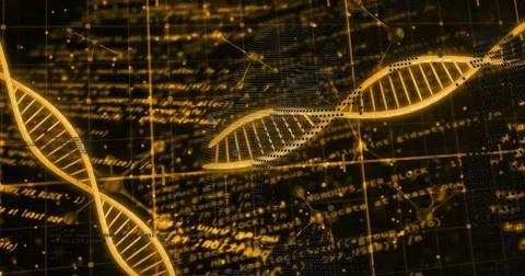 Image of dna strands, data processing on black background Stock Photos