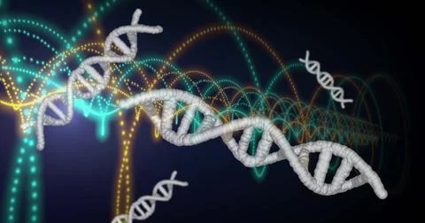 Image of dna strands, light trails and data processing over dark background Illustrazione stock