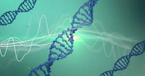 Image of dna strands, light trails and data processing over green background Stock Photos