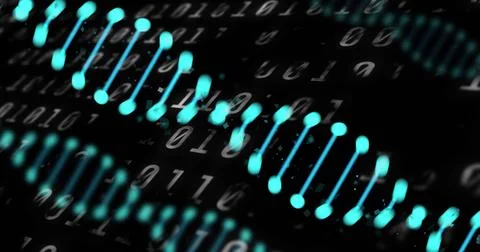 Image of dna strands over data processing on black background Illustrazione stock