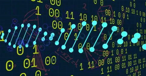 Image of dna strands over data processing and mathematical equations on black Stock Illustration