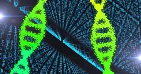 Image of dna strands over data processing on black background Stock Illustration