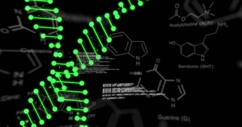 Image of dna strands over data processing and chemical formula on black Stock Illustration