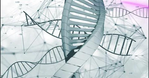 Image of dna strands over data processing 스톡 사진