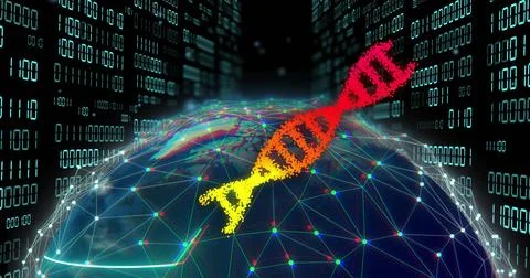 Image of dna strands over globe of connections and data processing on black Illustrazione stock