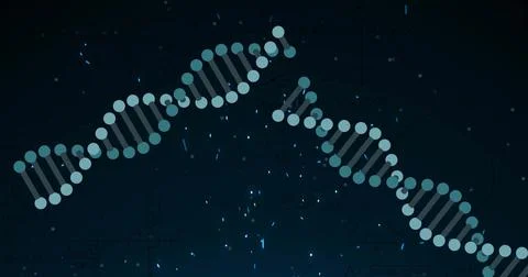 Image of dna strands over light spots on black background Ilustração Stock