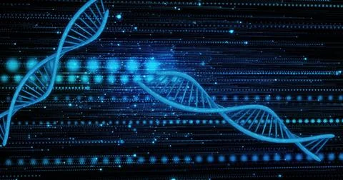 Image of dna strands over light trails and spots on black background Ilustração Stock