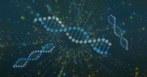 Image of dna strands over light spots on black background Stock Photos