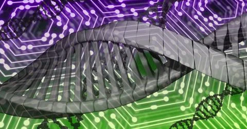 Image of dna strands over network of connections Stock Photos