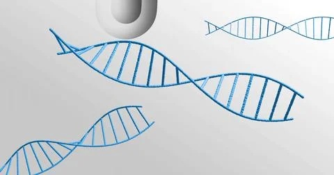 Image of dna strands over white shapes moving Stock Illustration