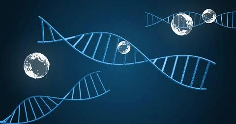 Image of dna strands over white bubbles moving Stock Illustration