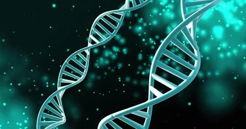 Image of dna strands spinning with copy space over green spots on black Foto stock