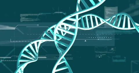 Image of dna strands spinning with data processing over green background Stock Photos