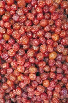 Image of dried cherry-plum Stock Photos