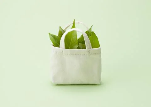 Image of eco bag Stock Photos