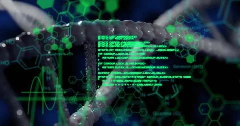 Image of elements, charts and data processing over dna on black background Stock Photos