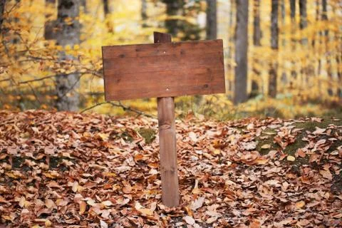 Image of empty road sign on the forest. Stock Photos