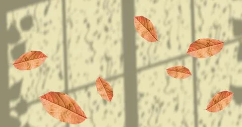 Image of fall leaves floating over window shadow on yellow background 스톡 일러스트
