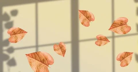 Image of fall leaves floating over window shadow on yellow background 스톡 일러스트