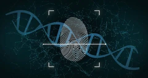 Image of falling spinning dna strand and connections over dark background Stock Photos