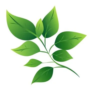This image features a green leaf branch with various leaf shapes, showcasing a Stock Illustration