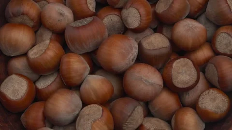 This image features a striking closeup of fresh, delicious hazelnuts displayed Video stock 289833327
