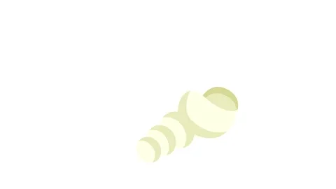 An image featuring two distinct seashells side by side, highlighting their .. Video stock 332461646