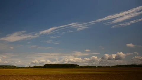 Image of field and bright blue sky; timelapse Stock Footage 89673586