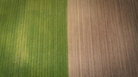 Image of the field divided in the middle between the brown and green fields Stock Photos