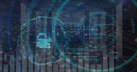 Image of financial data processing over digital screen Stock Illustration