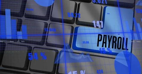 Image of financial data processing over payroll text on keyboard Stock Illustration