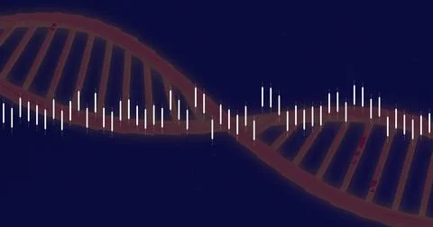 Image of financial data processing over dna strand on black background Stock Illustration