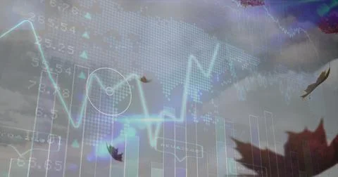 Image of financial data processing over leaves falling and sky Foto stock