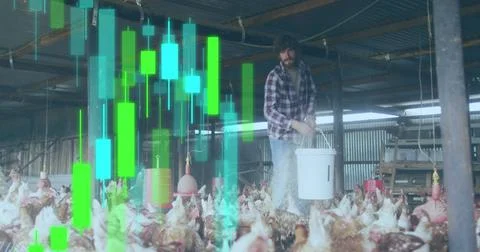 Image of financial data processing over caucasian man feeding chickens Foto stock